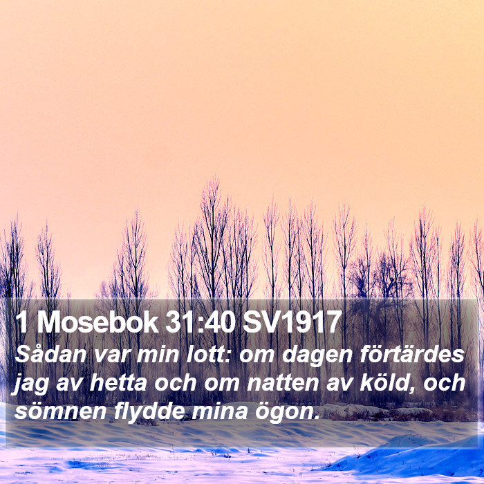 1 Mosebok 31:40 SV1917 Bible Study