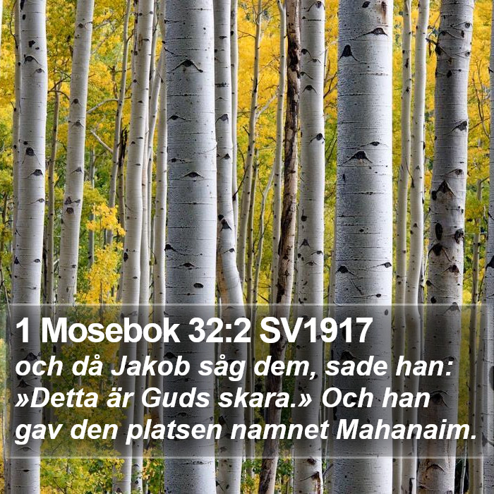 1 Mosebok 32:2 SV1917 Bible Study