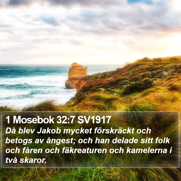 1 Mosebok 32:7 SV1917 Bible Study