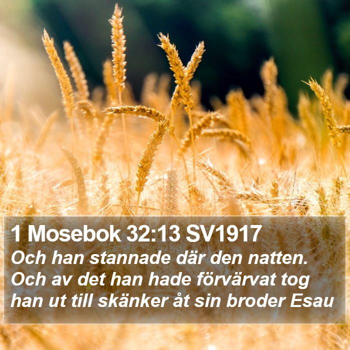 1 Mosebok 32:13 SV1917 Bible Study