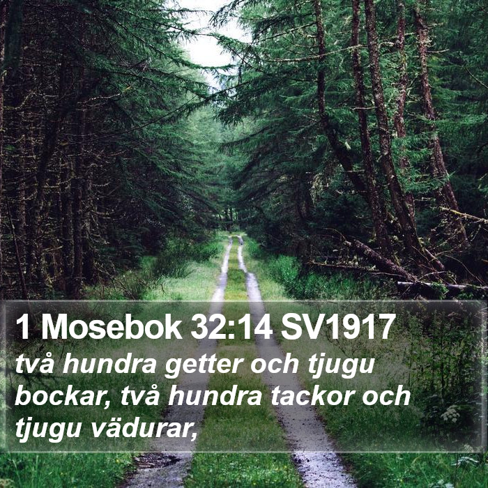 1 Mosebok 32:14 SV1917 Bible Study
