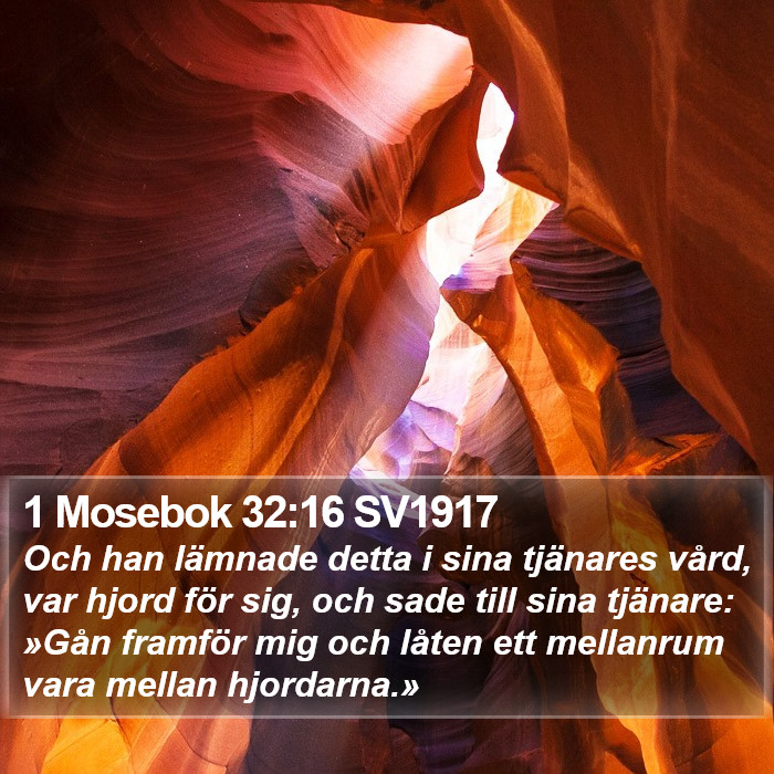 1 Mosebok 32:16 SV1917 Bible Study