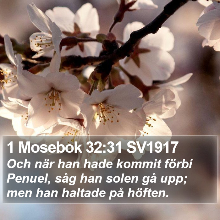 1 Mosebok 32:31 SV1917 Bible Study
