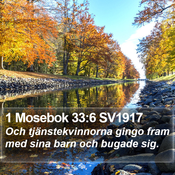 1 Mosebok 33:6 SV1917 Bible Study