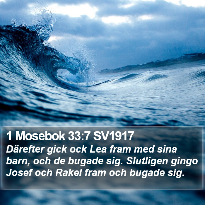 1 Mosebok 33:7 SV1917 Bible Study