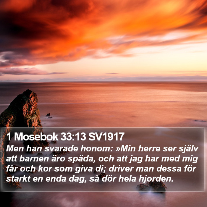 1 Mosebok 33:13 SV1917 Bible Study