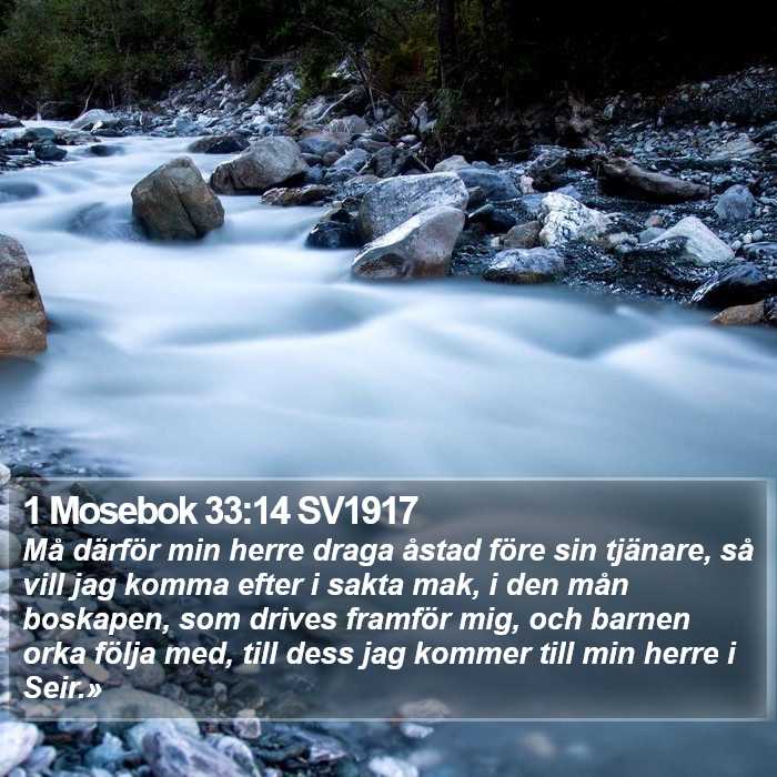 1 Mosebok 33:14 SV1917 Bible Study