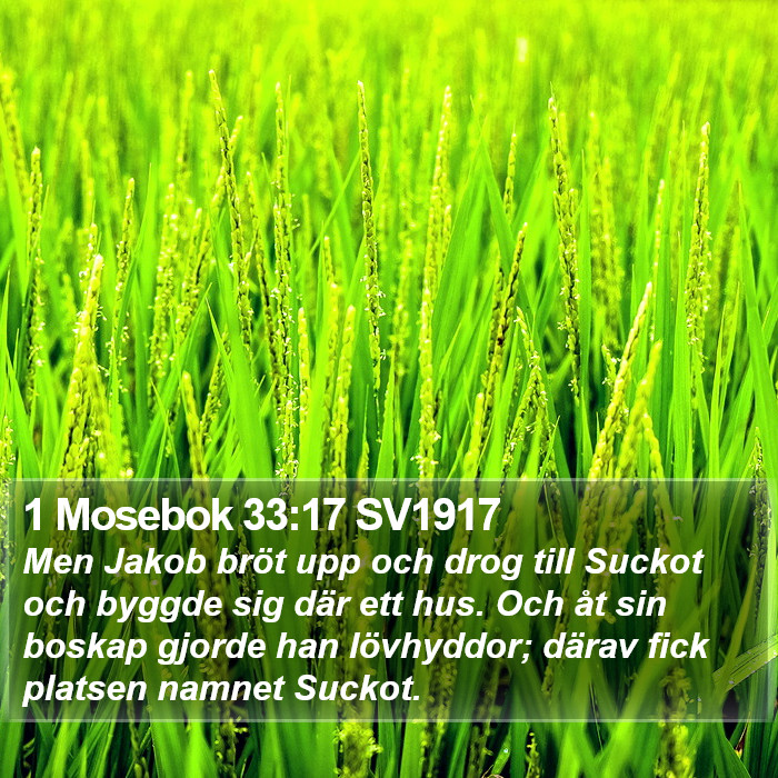 1 Mosebok 33:17 SV1917 Bible Study