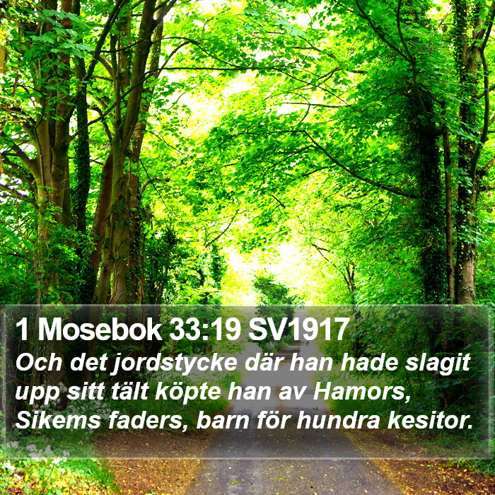 1 Mosebok 33:19 SV1917 Bible Study