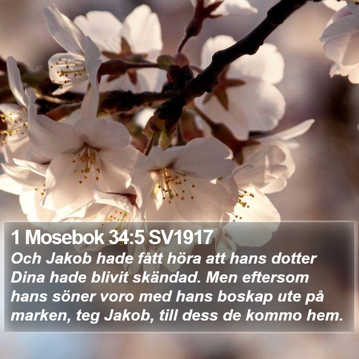1 Mosebok 34:5 SV1917 Bible Study