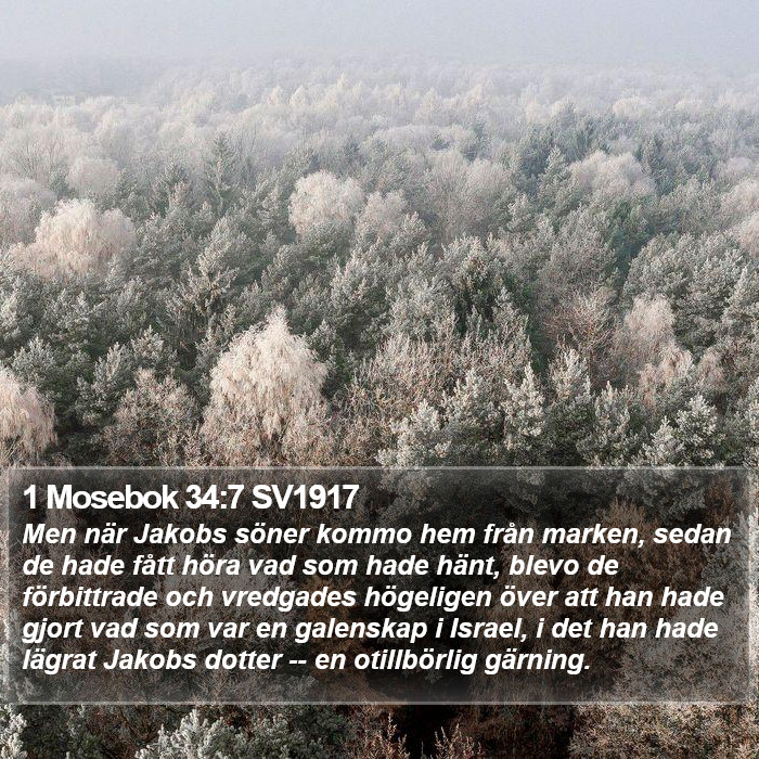 1 Mosebok 34:7 SV1917 Bible Study