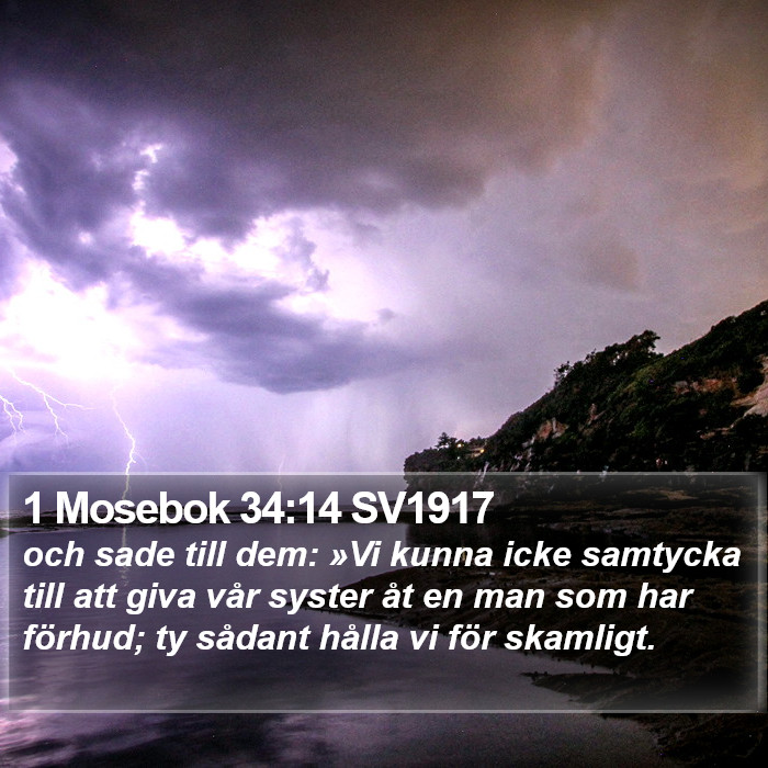 1 Mosebok 34:14 SV1917 Bible Study