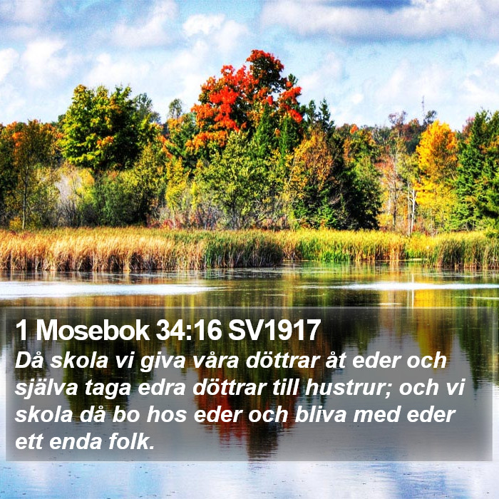 1 Mosebok 34:16 SV1917 Bible Study