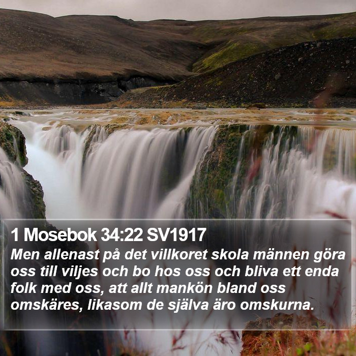 1 Mosebok 34:22 SV1917 Bible Study