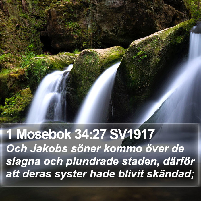 1 Mosebok 34:27 SV1917 Bible Study