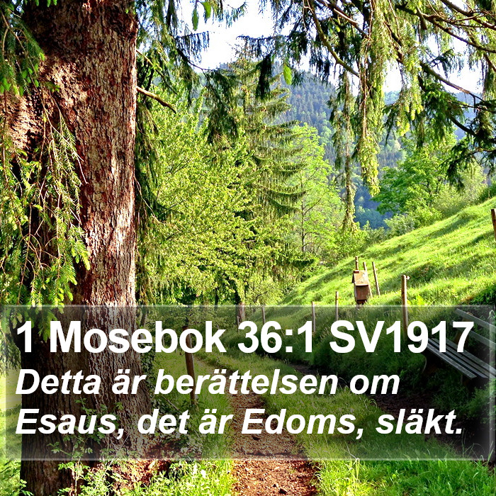 1 Mosebok 36:1 SV1917 Bible Study