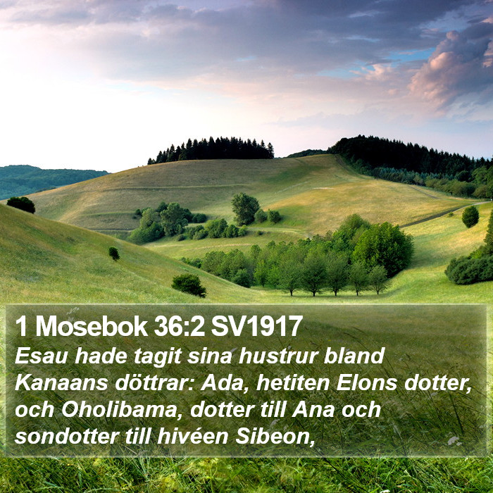 1 Mosebok 36:2 SV1917 Bible Study