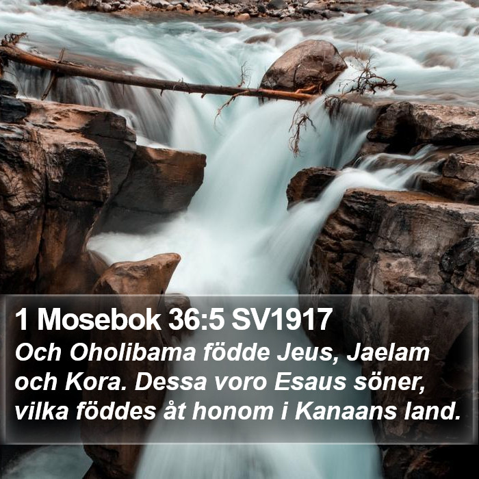 1 Mosebok 36:5 SV1917 Bible Study