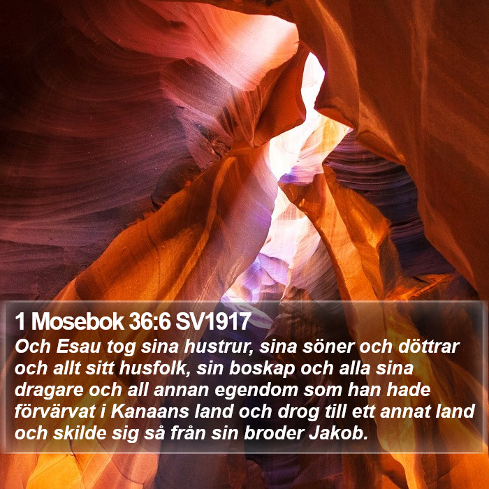 1 Mosebok 36:6 SV1917 Bible Study
