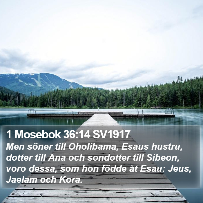 1 Mosebok 36:14 SV1917 Bible Study