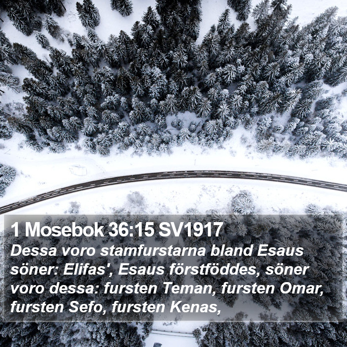 1 Mosebok 36:15 SV1917 Bible Study