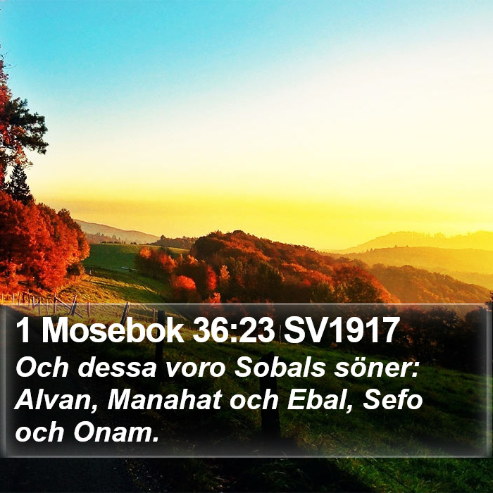 1 Mosebok 36:23 SV1917 Bible Study