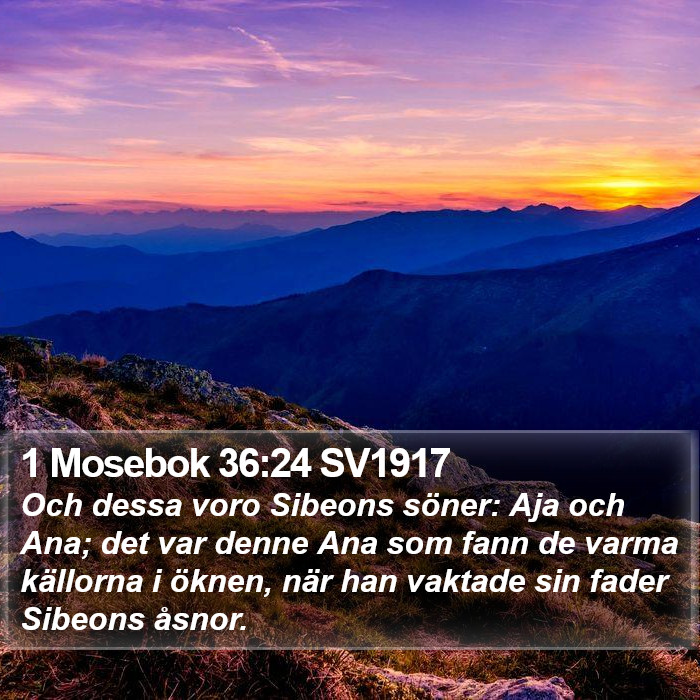 1 Mosebok 36:24 SV1917 Bible Study