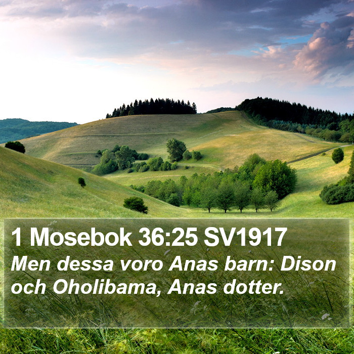 1 Mosebok 36:25 SV1917 Bible Study