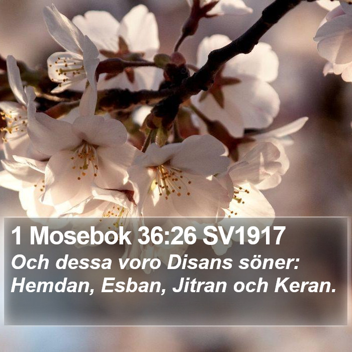 1 Mosebok 36:26 SV1917 Bible Study