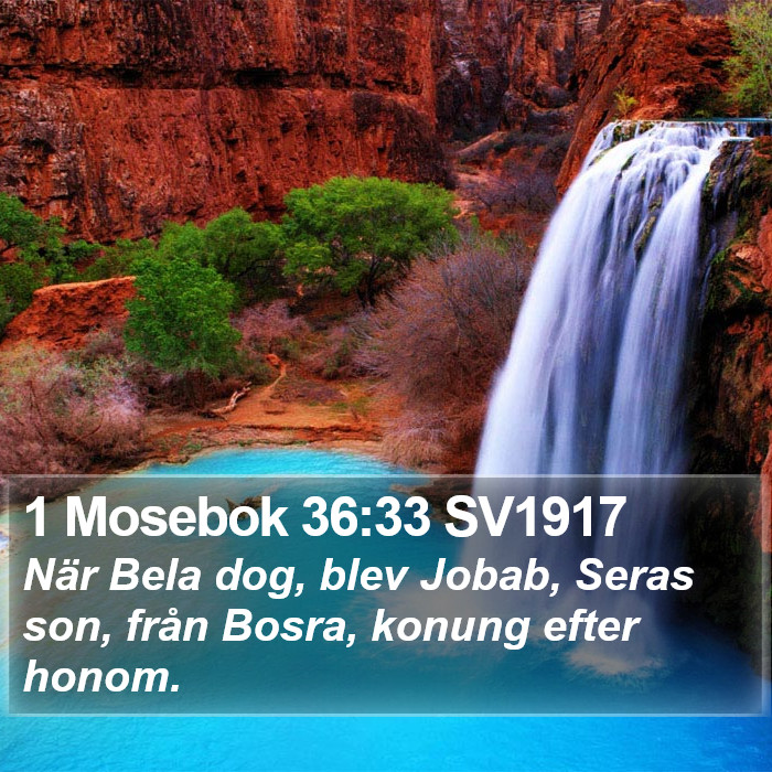1 Mosebok 36:33 SV1917 Bible Study