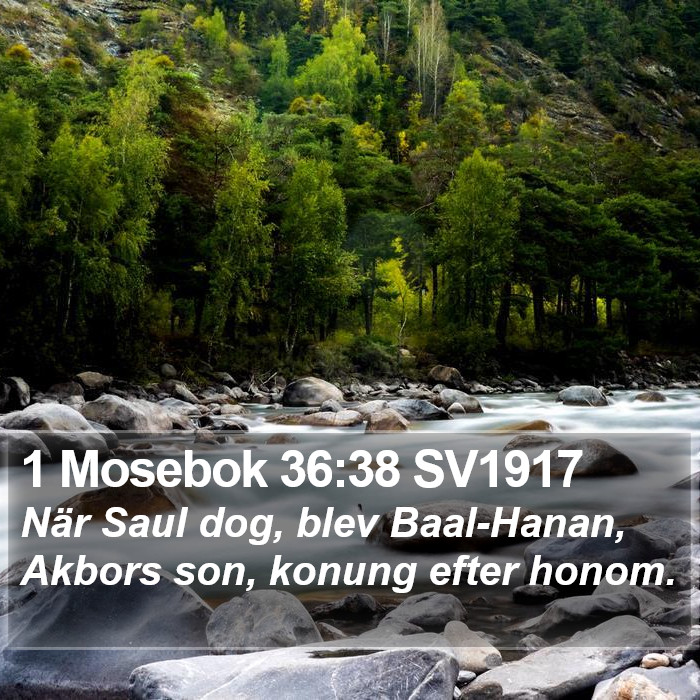 1 Mosebok 36:38 SV1917 Bible Study