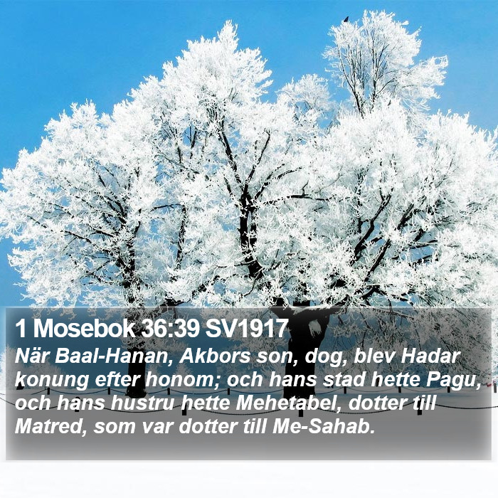 1 Mosebok 36:39 SV1917 Bible Study