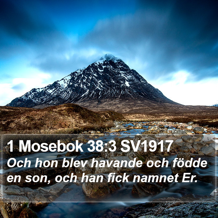 1 Mosebok 38:3 SV1917 Bible Study