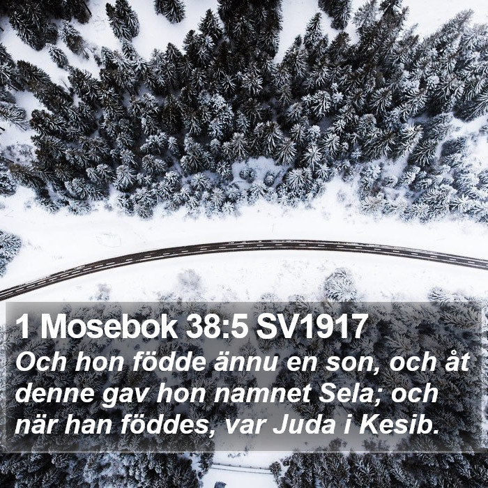 1 Mosebok 38:5 SV1917 Bible Study