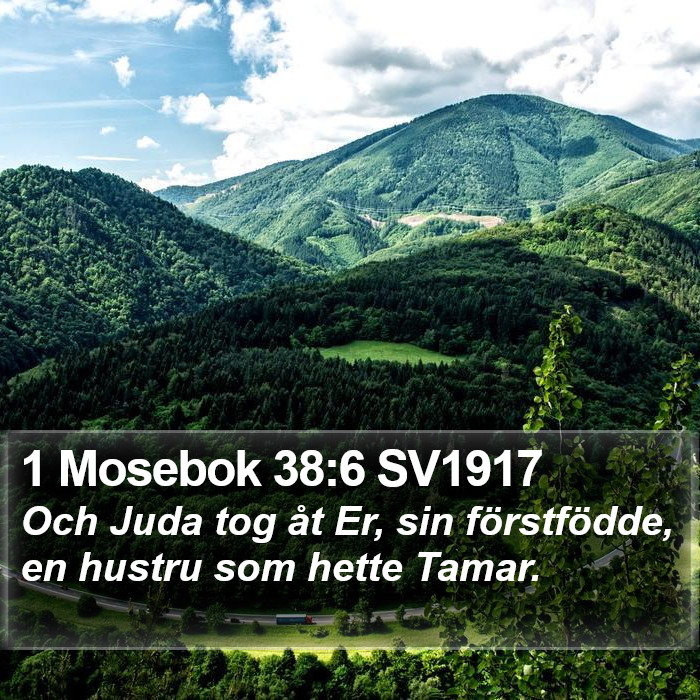 1 Mosebok 38:6 SV1917 Bible Study