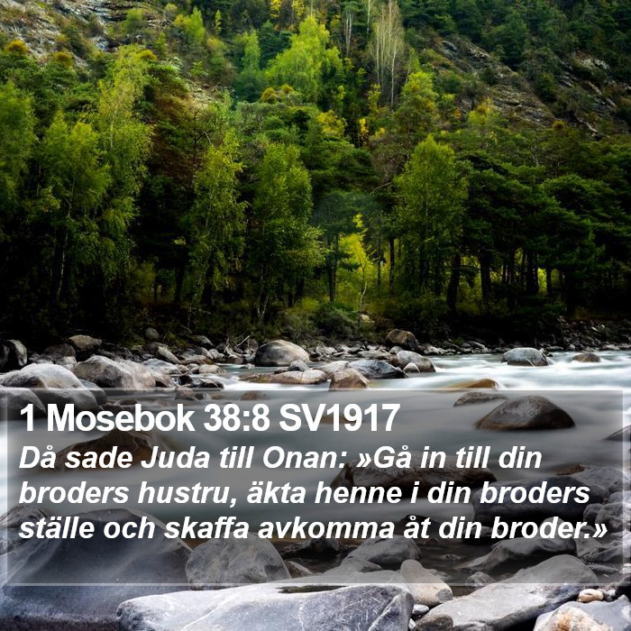 1 Mosebok 38:8 SV1917 Bible Study