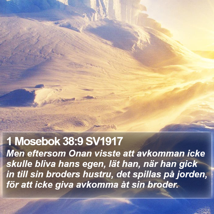 1 Mosebok 38:9 SV1917 Bible Study