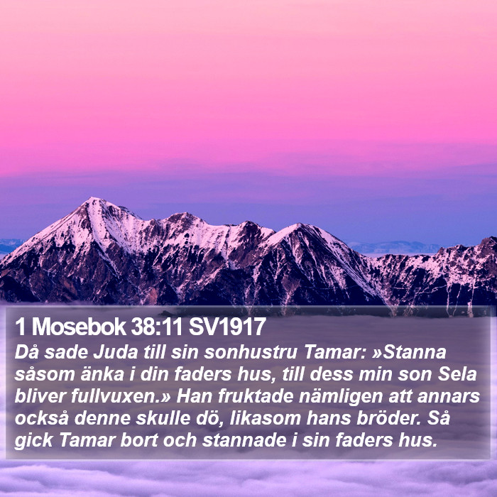 1 Mosebok 38:11 SV1917 Bible Study