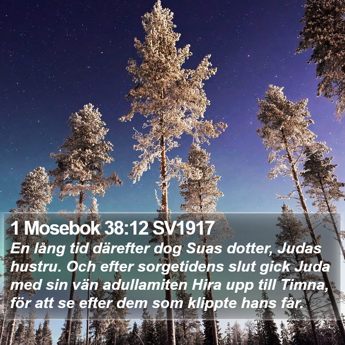 1 Mosebok 38:12 SV1917 Bible Study