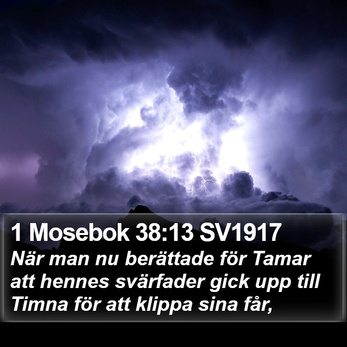 1 Mosebok 38:13 SV1917 Bible Study