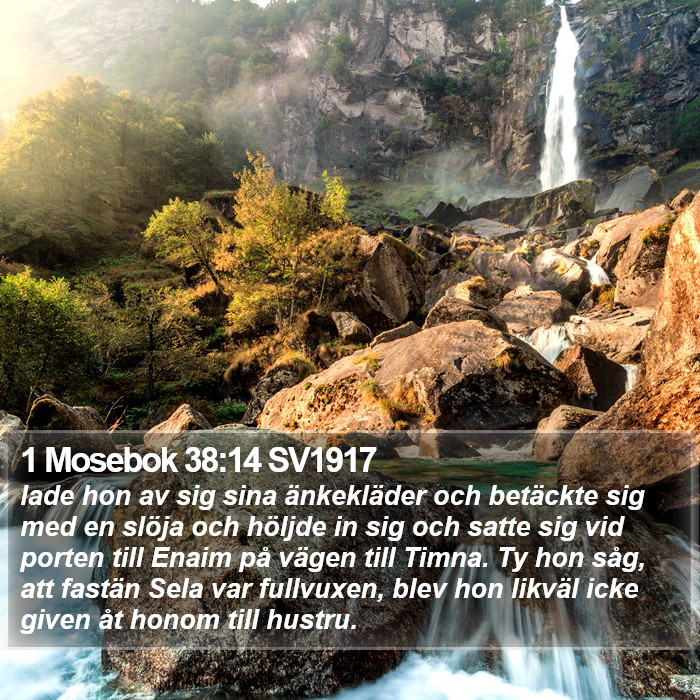 1 Mosebok 38:14 SV1917 Bible Study