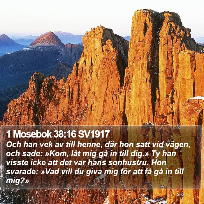 1 Mosebok 38:16 SV1917 Bible Study