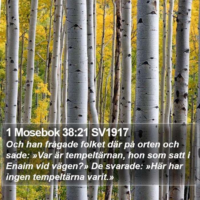 1 Mosebok 38:21 SV1917 Bible Study