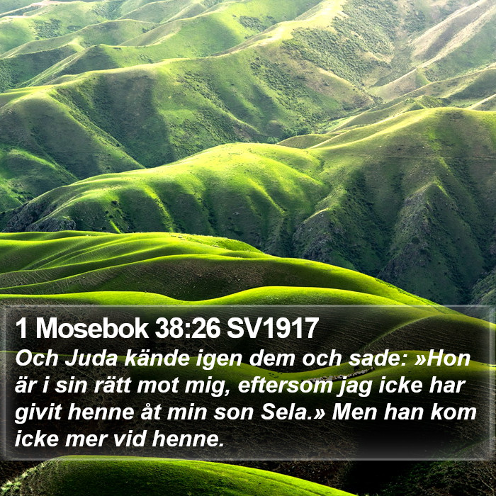 1 Mosebok 38:26 SV1917 Bible Study