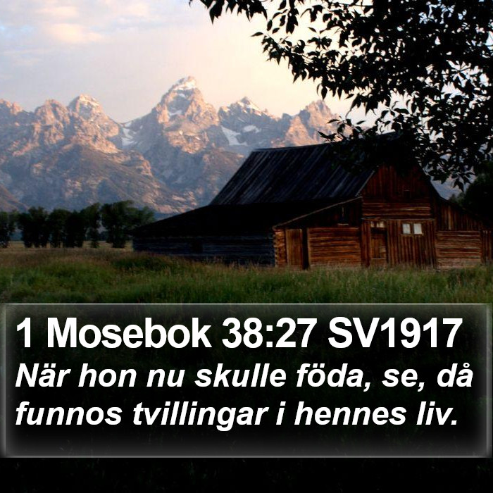 1 Mosebok 38:27 SV1917 Bible Study