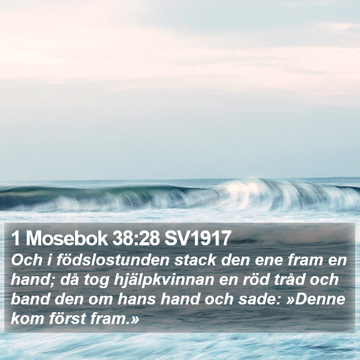 1 Mosebok 38:28 SV1917 Bible Study