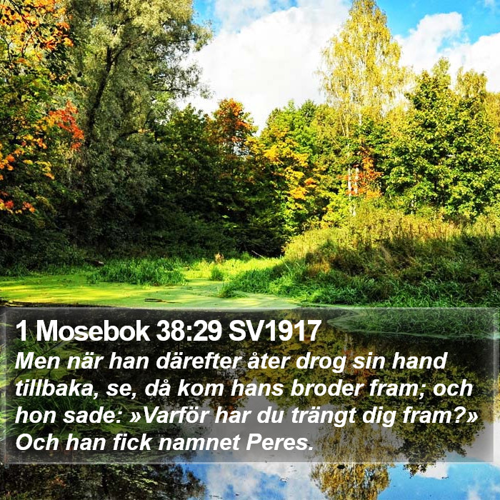 1 Mosebok 38:29 SV1917 Bible Study