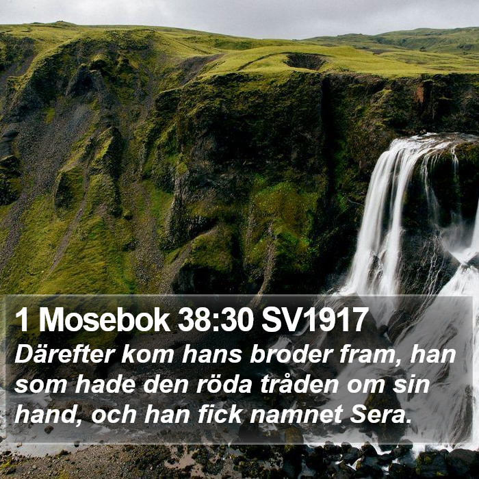 1 Mosebok 38:30 SV1917 Bible Study