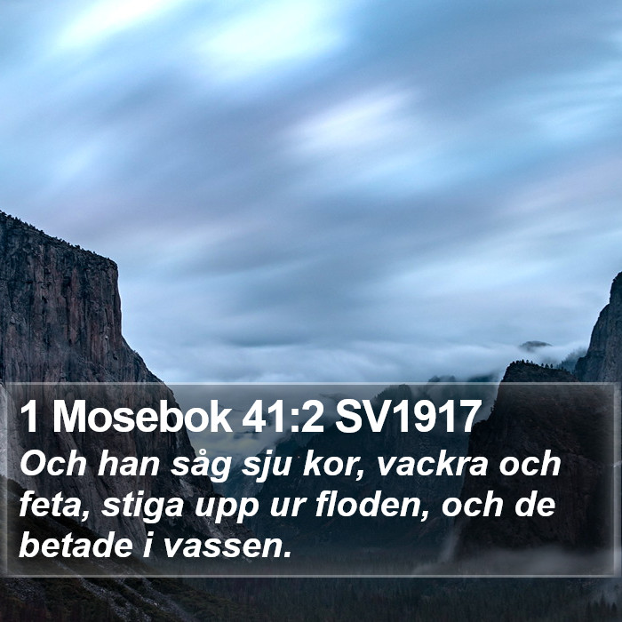 1 Mosebok 41:2 SV1917 Bible Study