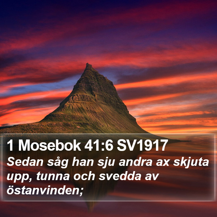 1 Mosebok 41:6 SV1917 Bible Study